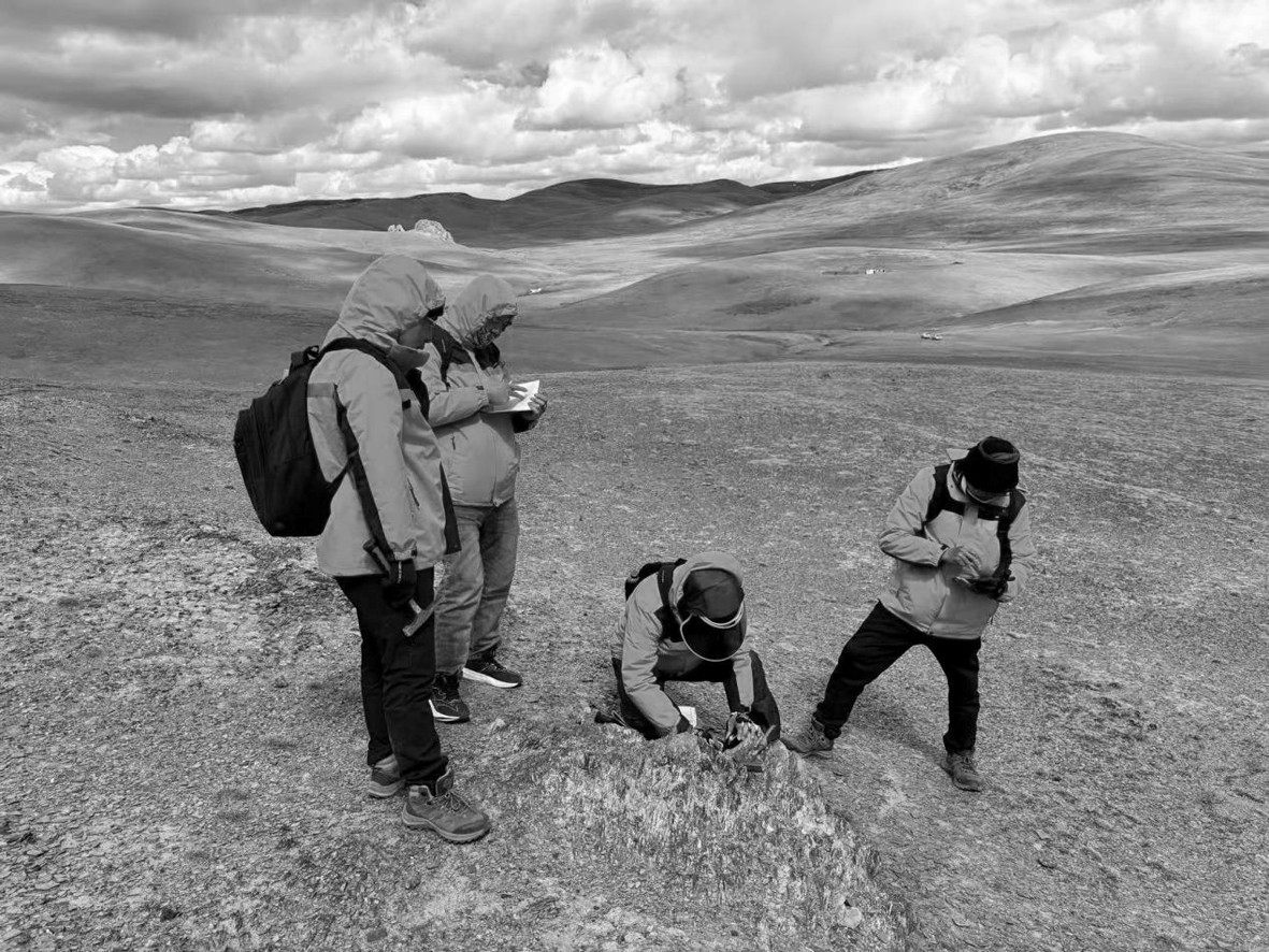 1751531356857468.jpg 1751531356857468.jpg