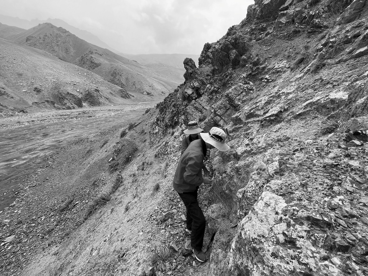 1760336757866750.jpg 1760336757866750.jpg