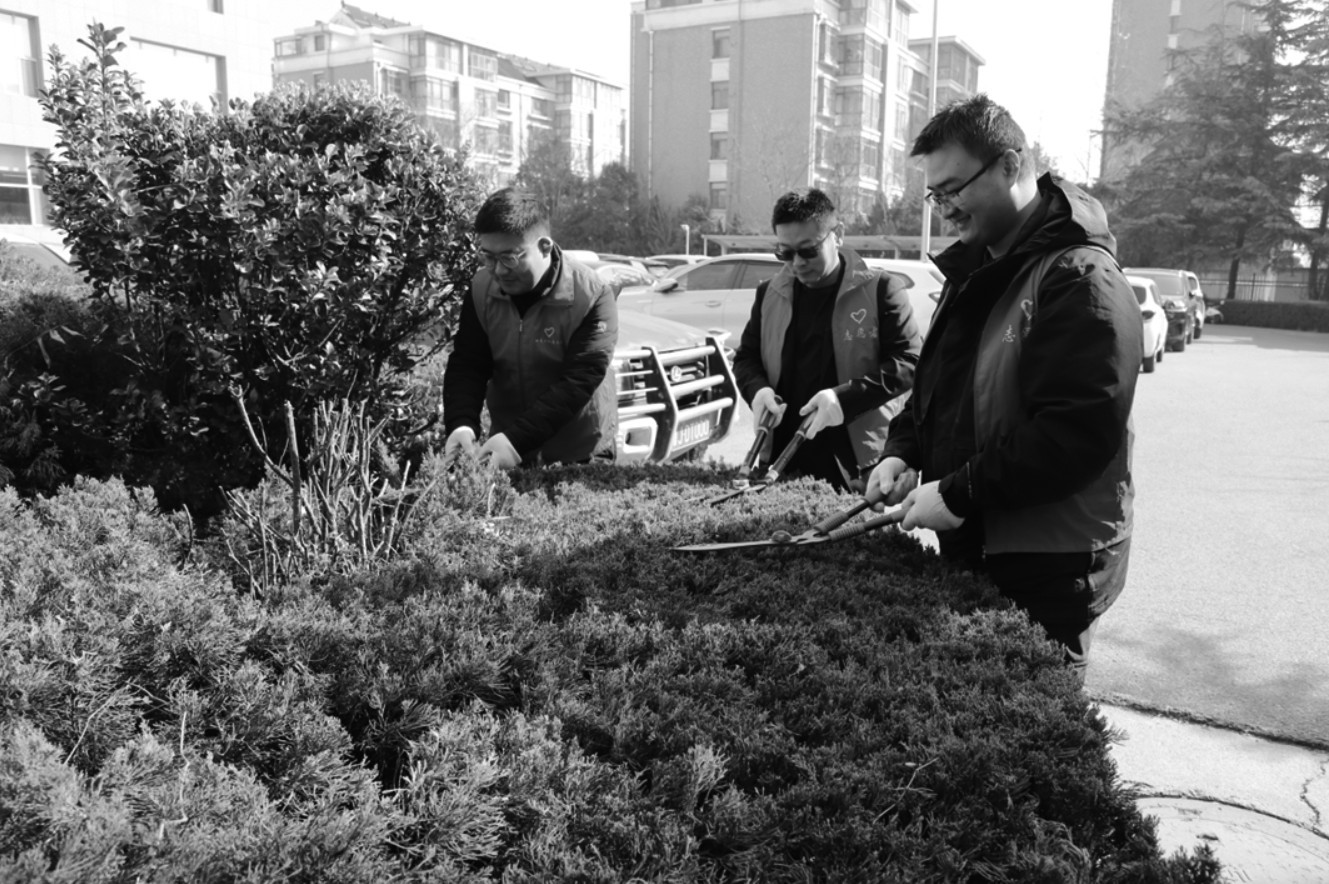 1773901734413480.jpg 1773901734413480.jpg